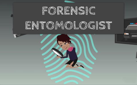 Forensic Entomologist