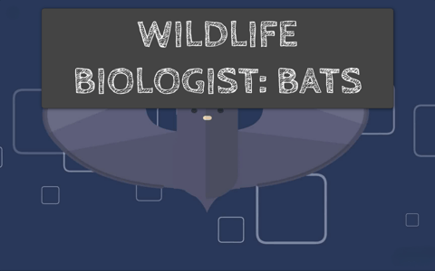 Wildlife Biologist
