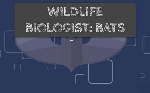 Wildlife Biologist